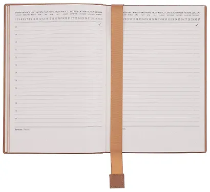 Ежедневник недат. А5 160л "Виннер" коричневый, кожзам, мягк. переплет, блинт.тисн, офсет, справ.мат-лы, ляссе с аппликацией, инд.уп - фото 6