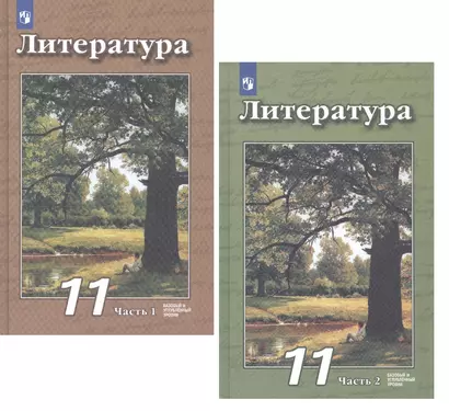 Литература. 11 класс. Базовый и углубленный уровни. Учебник (комплект из 2 книг) - фото 1