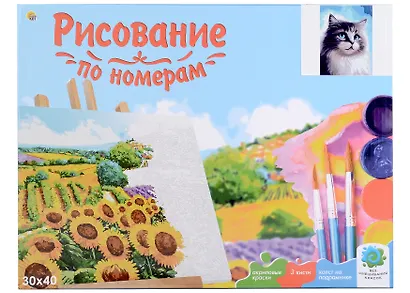 Картина-раскраска по номерам «Голубоглазый котик», 30 х 40 см, Рыжий Кот - фото 2
