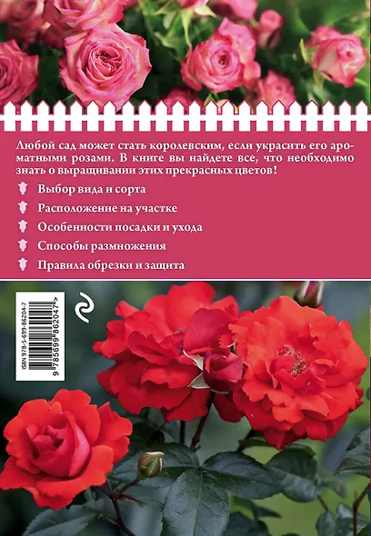 Розы на дачном участке (нов.оф.) - фото 2