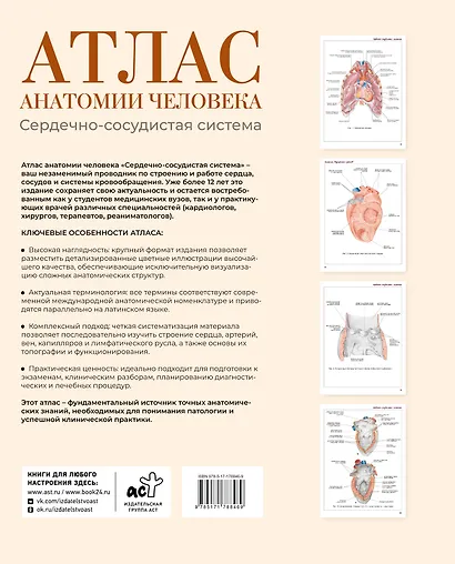 Атлас анатомии человека. Сердечно-сосудистая система - фото 2