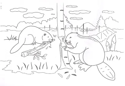 Книжка-раскраска "Звери белорусского леса" - фото 3