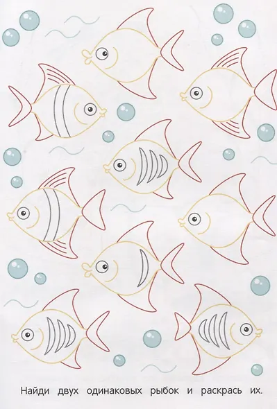 Реки и моря - фото 3