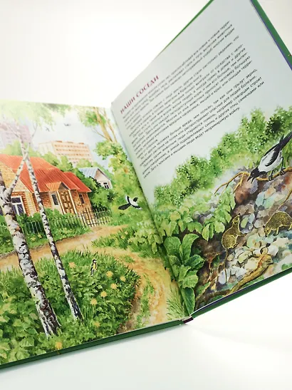 Природа России. Иллюстрированная энциклопедия - фото 6