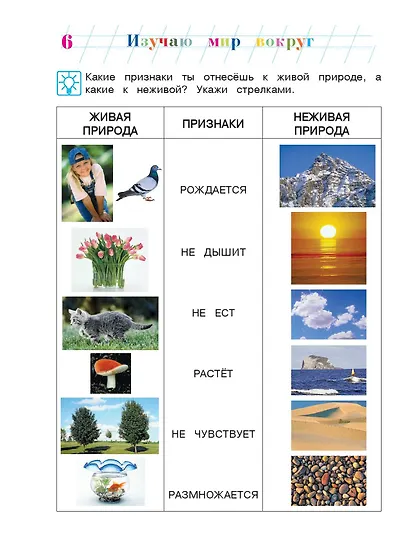 Изучаю мир вокруг: для детей 6-7 лет. Часть 1 - фото 11