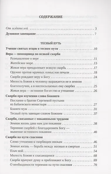 Слово утешения находящемуся в скорби Святитель Игнатий (Брянчанинов) - фото 3