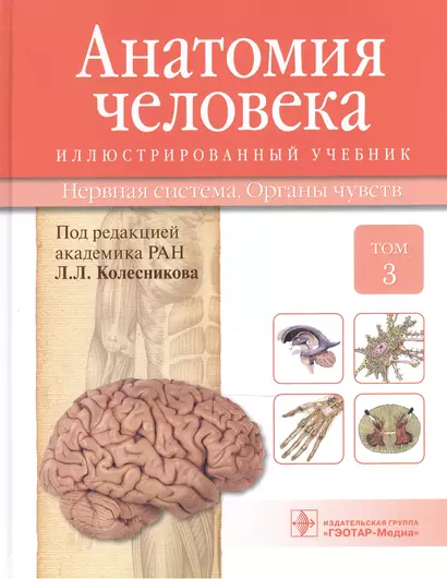 Анатомия человека.Т.3-Нервная система.Органы чувств.Учебник в 3 томах - фото 1