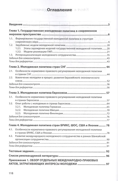 Международный опыт реализации государственной молодежной политики - фото 2