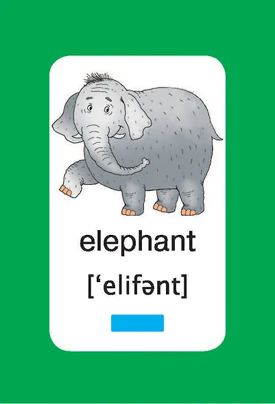 300 первых английских слов. Набор карточек для детей - фото 11