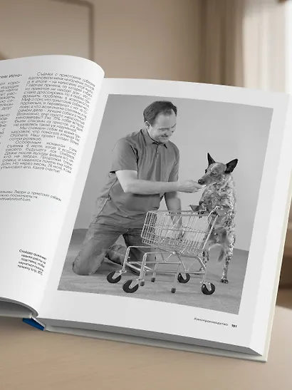 СОБАКА, которая УМЕЕТ ВСЕ. Пошаговое руководство по 118 удивительным трюкам - фото 12