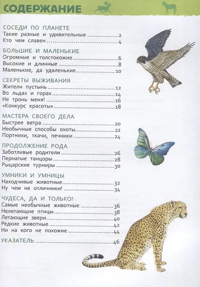 Удивительные животные. Энциклопедия  для детского сада - фото 2