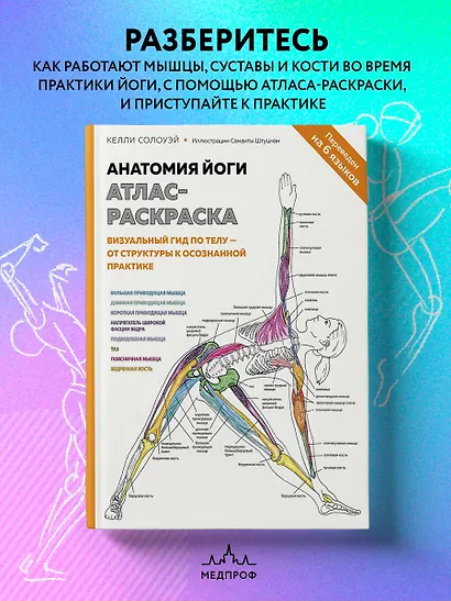 Анатомия йоги: атлас-раскраска. Визуальный гид по телу — от структуры к осознанной практике - фото 4