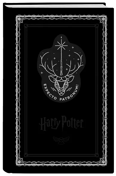 Блокнот «Гарри Поттер. Экспекто патронум!», 192 страницы, А5 - фото 2