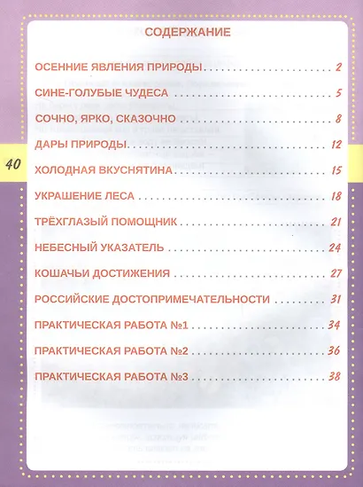 Смысловое чтение. Тренажёр для школьников. 2 кл. (Планета) (издание 2021) - фото 2