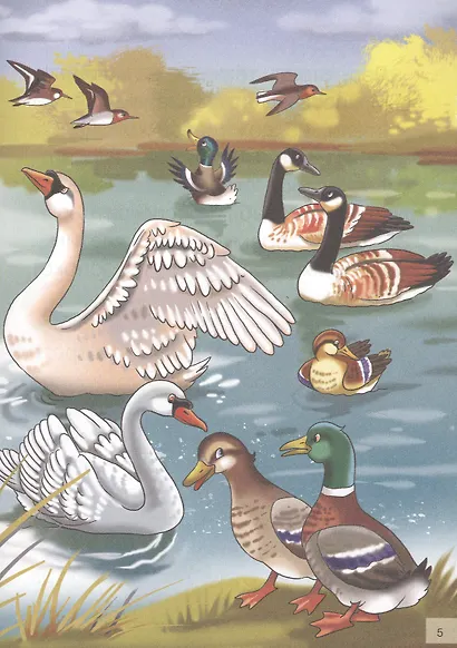 Серая шейка. Сказки. Для самостоятельного чтения - фото 6