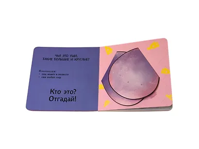 Интерактивные загадки. Кто здесь прячется? (летучая мышь) - фото 11