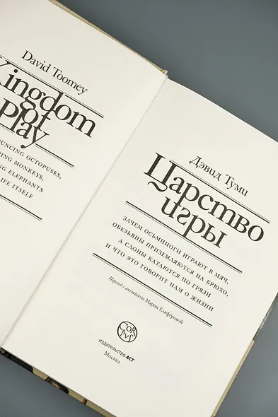 Царство игры - фото 8