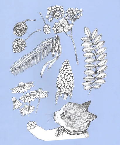 Мяузей. Безумная раскраска от художницы из Японии - фото 3