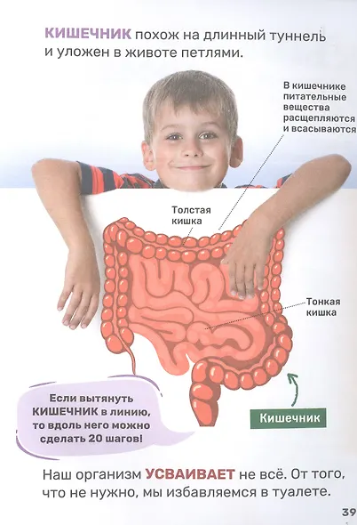 Тело человека - фото 5