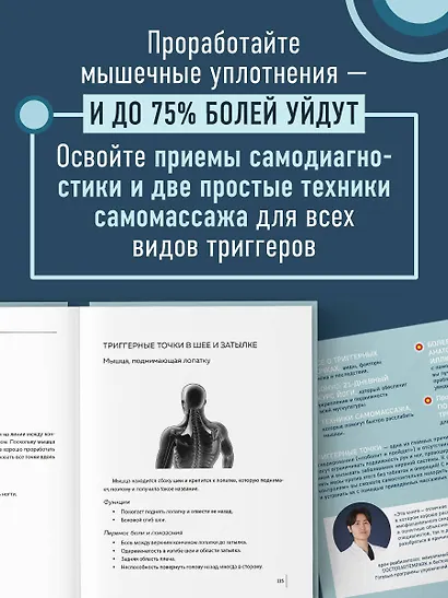 Триггерные точки под контролем. Программы для самостоятельного лечения мышечных зажимов и восстановления подвижности суставов - фото 5