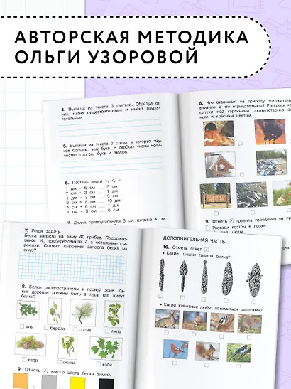 Диагностические комплексные работы. Русский язык. Математика. Окружающий мир. Литературное чтение. 2 - фото 5