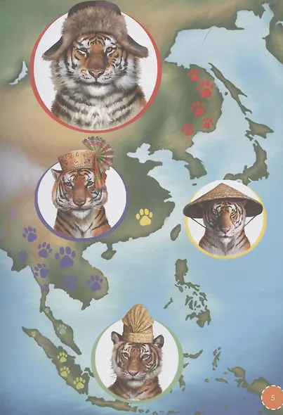 Я Тигр - фото 3