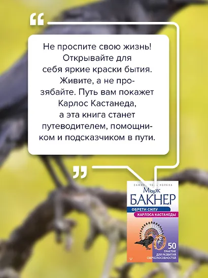 Обрети силу Карлоса Кастанеды. 50 практик для развития сверхспособностей - фото 7
