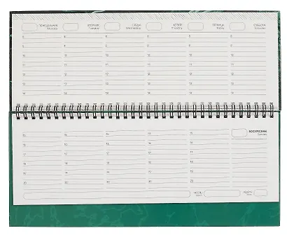 Планинг недат. 56л "Listoff" морская пучина, настольный, иск.кожа, 7БЦ, глянц.лам, евроспираль, офсет - фото 4