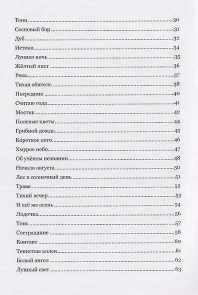 Музыка стиха. Стихотворения - фото 3