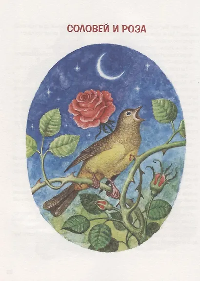 Сказки Вильгельма Гауфа и Оскара Уайльда - фото 5