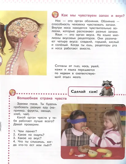 Тело человека. Энциклопедия для дошкольников с веселым енотом - фото 3