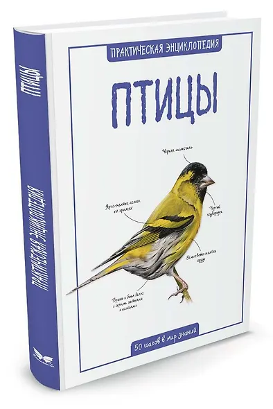 Птицы - фото 2