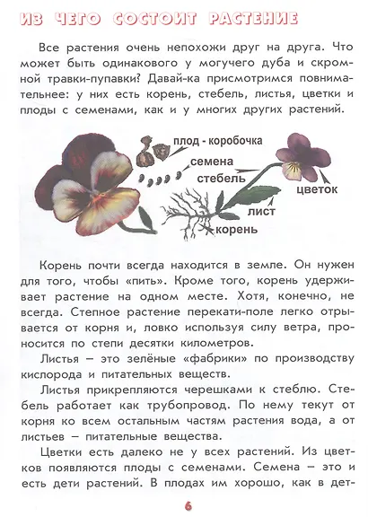 Настоящая ботаника для мальчиков и девочек - фото 3