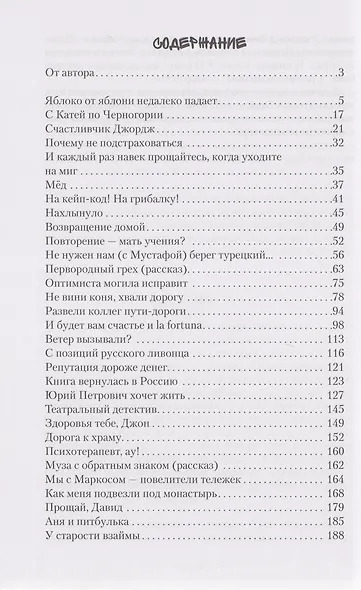 Кошелёк. Этюды из моей американской жизни – 2 - фото 3