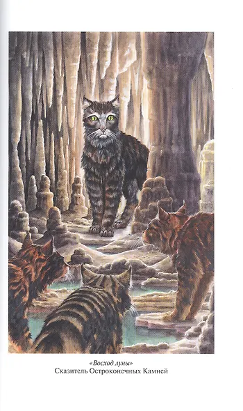 Коты-воители. Золотая коллекция. Полночь. Восход луны - фото 8