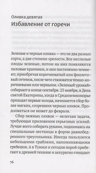 Дивная олива. Краткое культурологическое исследование - фото 6