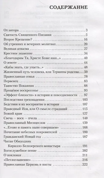 Христианское благочестие. История и традиции - фото 2