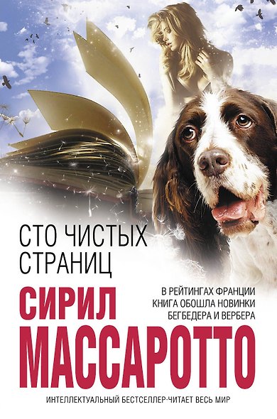 Сто чистых страниц - фото 1