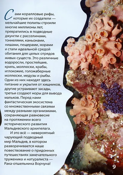 Очарованные Мальдивы. Приключения рака-отшельника на коралловых рифах - фото 4
