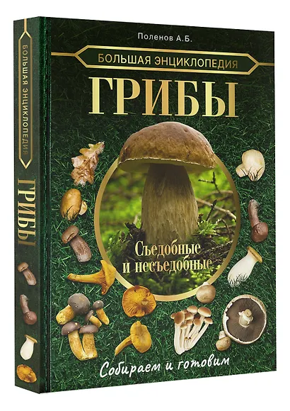 Большая энциклопедия грибника. Съедобные и несъедобные. Собираем и готовим - фото 3
