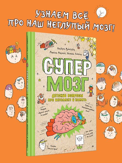 Супермозг. Детские вопросы про интеллект и память - фото 4