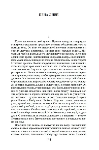 Пена дней и другие истории - фото 11