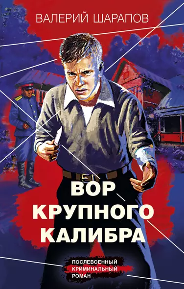 Вор крупного калибра - фото 1