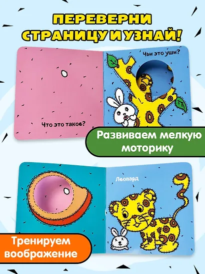 Чьи это уши? - фото 5