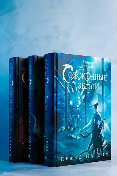 Сожженные земли. Право на дом - фото 7