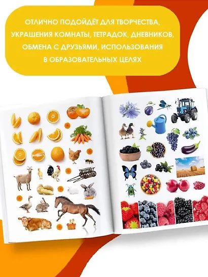 На ферме - фото 4