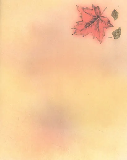 Вивальди и ветер - фото 3