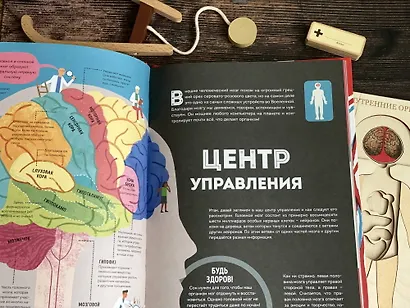 Тело человека. Как работает наш удивительный организм - фото 9