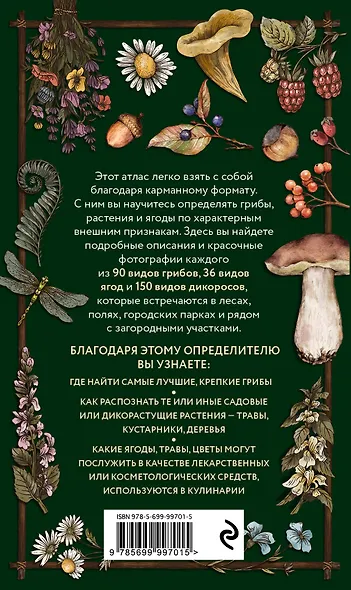 Лесной гид: грибы, ягоды, травы. Карманный атлас-определитель - фото 2