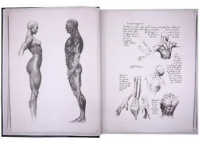 Alien Covenant. Davids Drawings - фото 9